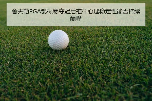 she-fu-lei-jin-biao-sai-duo-guan-hou-tui-gan-xin-li-wen-ding-xing-neng-fou-chi-xu-dian-feng-2-245.jpg