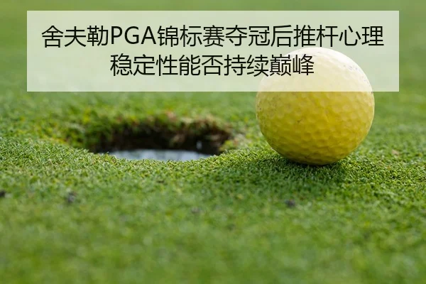 she-fu-lei-jin-biao-sai-duo-guan-hou-tui-gan-xin-li-wen-ding-xing-neng-fou-chi-xu-dian-feng-3-703.jpg