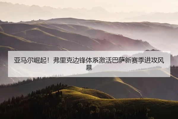 ya-ma-er-jue-qi-fu-li-ke-bian-feng-ti-xi-ji-huo-ba-sa-xin-sai-ji-jin-gong-feng-bao-2-389.jpg
