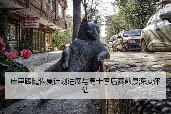 库里跟腱恢复计划进展与勇士季后赛前景深度评估