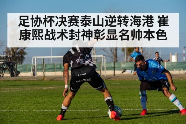 足协杯决赛泰山逆转海港 崔康熙战术封神彰显名帅本色
