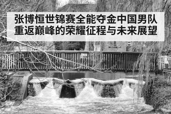 张博恒世锦赛全能夺金中国男队重返巅峰的荣耀征程与未来展望